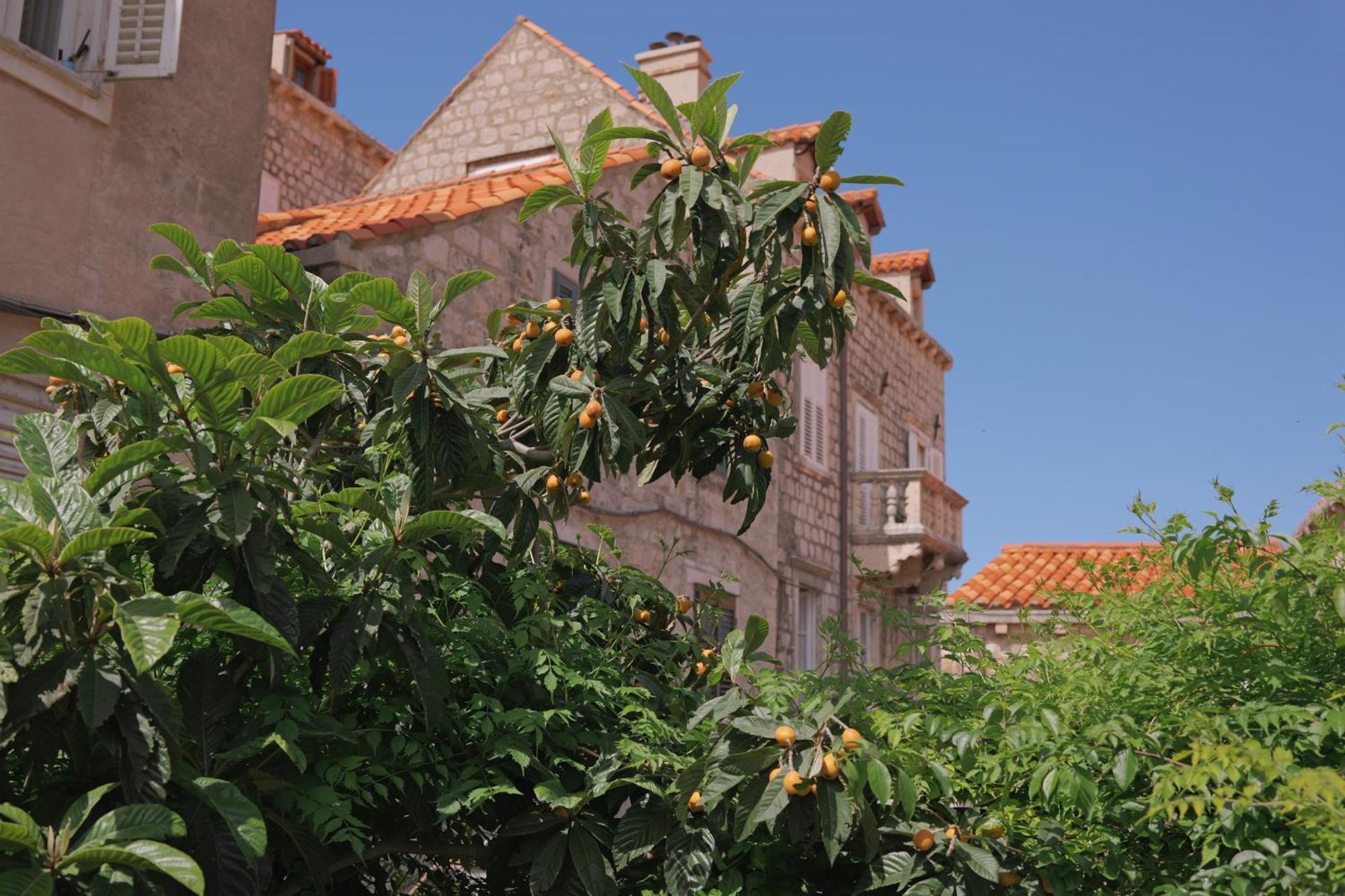 Old Town Green Oasis House Dubrovnik Extérieur photo