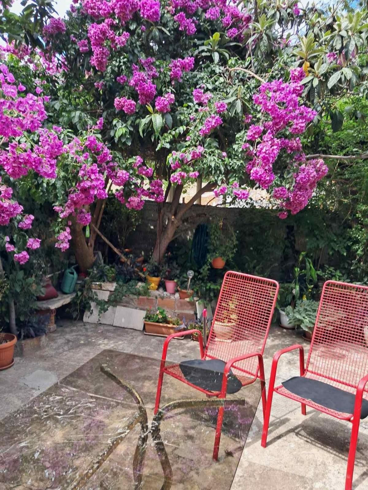 Old Town Green Oasis House Dubrovnik Extérieur photo